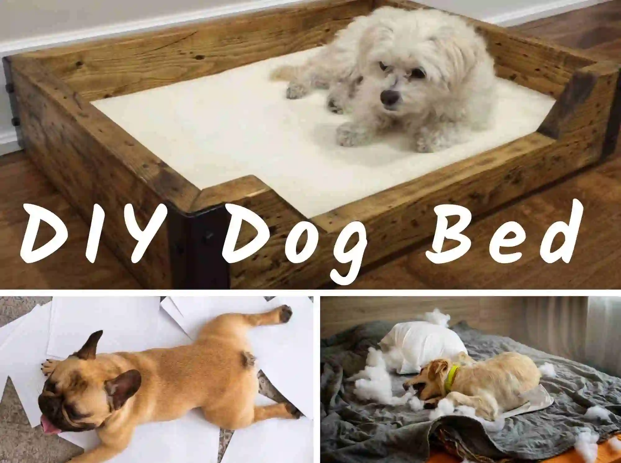 diy dog bed