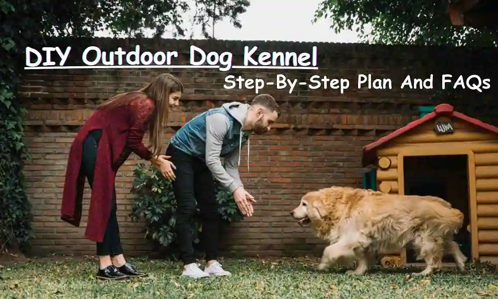 DIY Outdoor Dog Kennel Step-By-Step Plan And FAQs